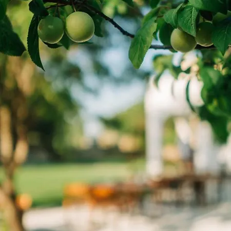 Riserva Urla Bed & Breakfast