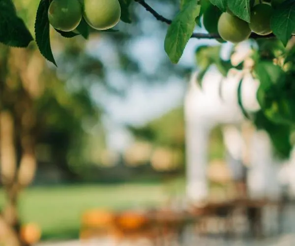 Riserva Urla Panzió